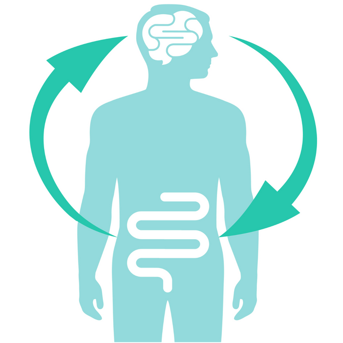 The Mind-Gut Connection: How Stress Impacts Digestion and Health
