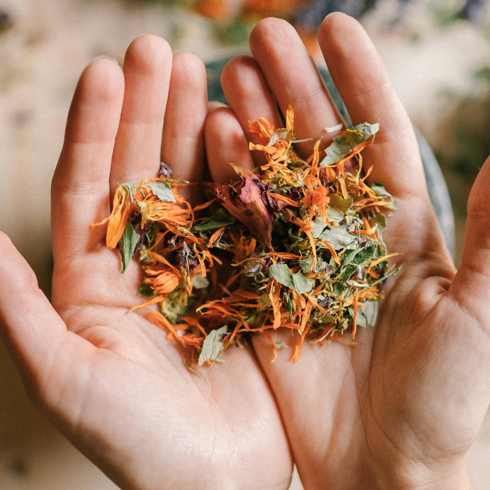 Unlock The Power of Herbs