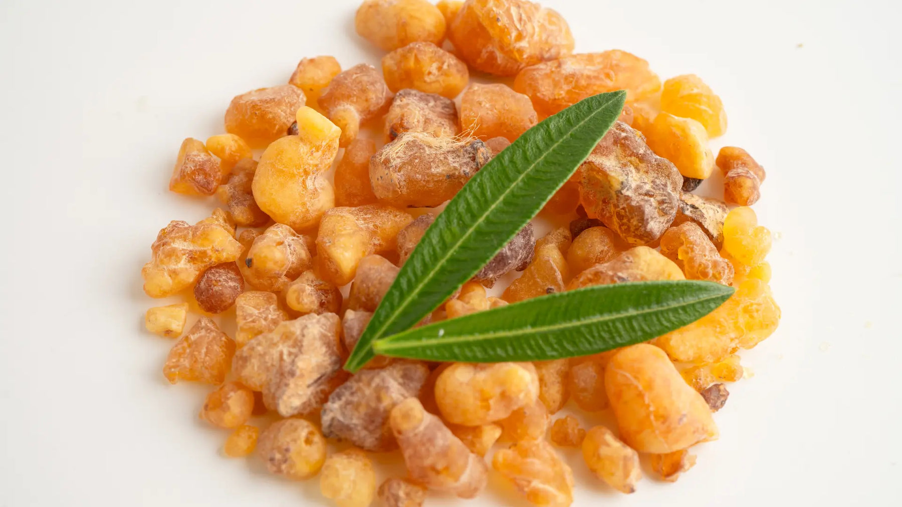 Mastic resin tears in a small wooden bowl on a clean white background.