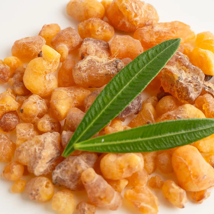 Mastic resin tears in a small wooden bowl on a clean white background.