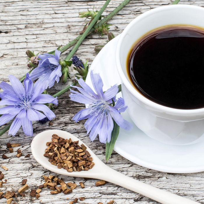 Cup of chicory coffee with roasted chicory root on a wooden table