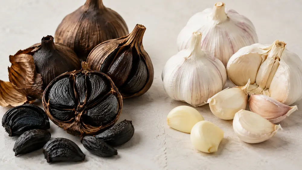 White garlic bulb splitting into regular garlic, aged black garlic and amber aged garlic extract pathways