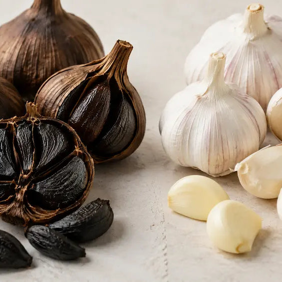White garlic bulb splitting into regular garlic, aged black garlic and amber aged garlic extract pathways