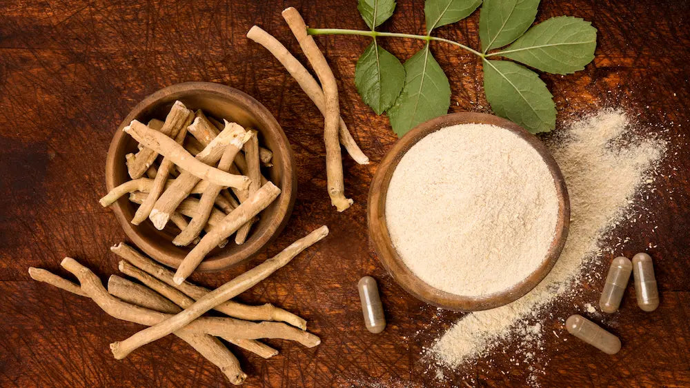 Single-ingredient Ashwagandha bottle beside a wider botanical blend for formula comparison