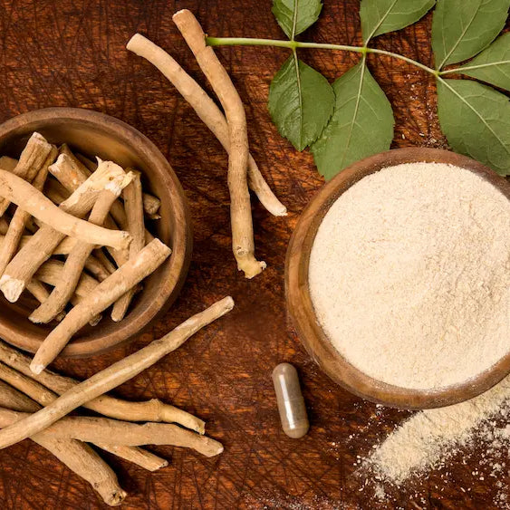Single-ingredient Ashwagandha bottle beside a wider botanical blend for formula comparison