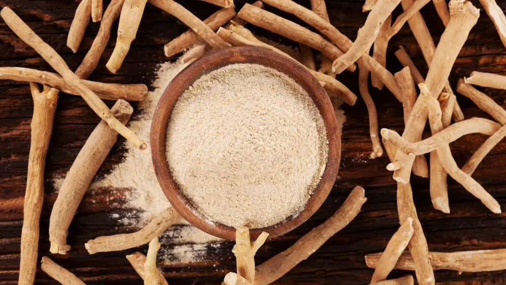 Ashwagandha root powder, capsules and dried botanical material arranged for a neutral powder versus extract comparison