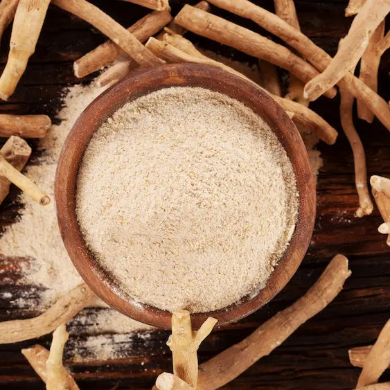 Ashwagandha root powder, capsules and dried botanical material arranged for a neutral powder versus extract comparison