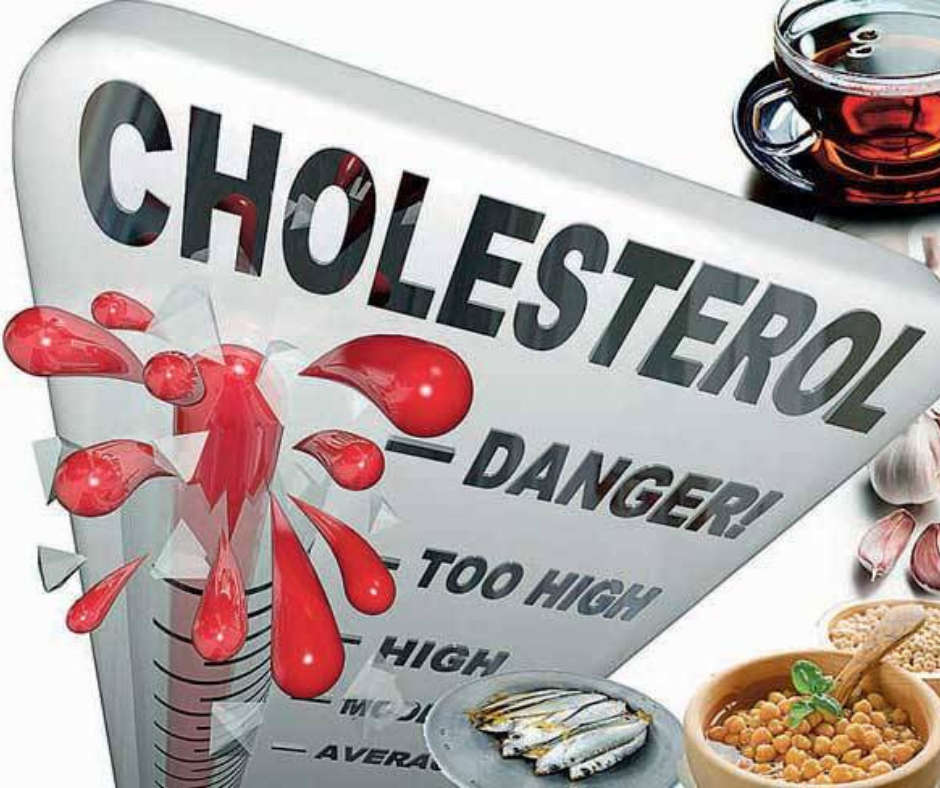Cholesterol - Friend or Foe