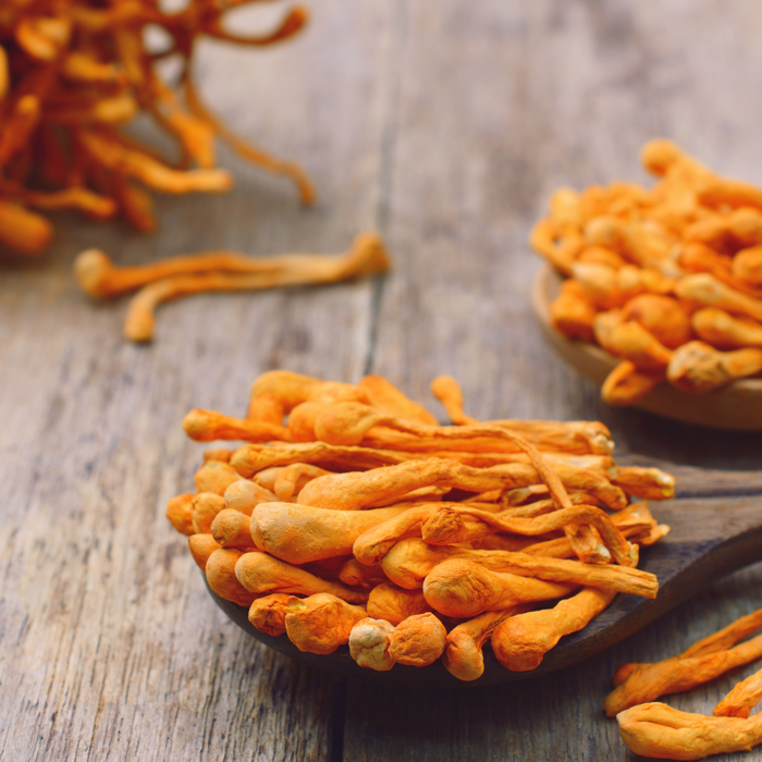 Fantastic Fungi: The Power of Cordyceps