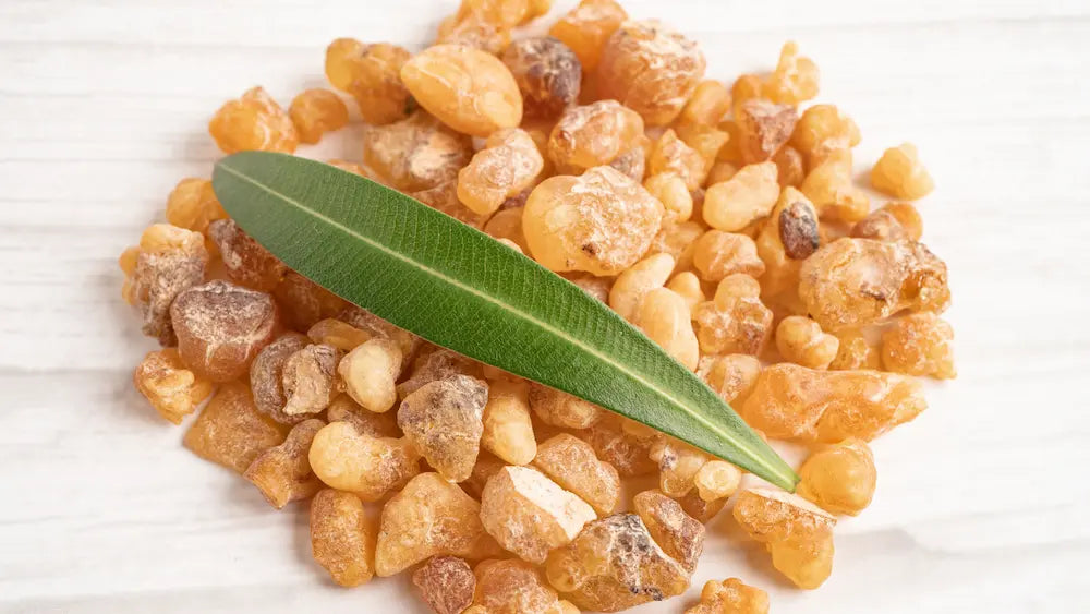 Chios mastic resin tears beside a mortar, sugar and salt for cooking