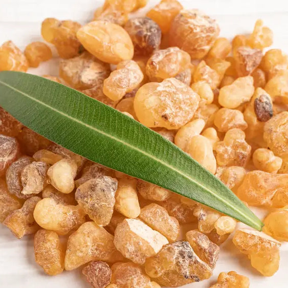 Chios mastic resin tears beside a mortar, sugar and salt for cooking