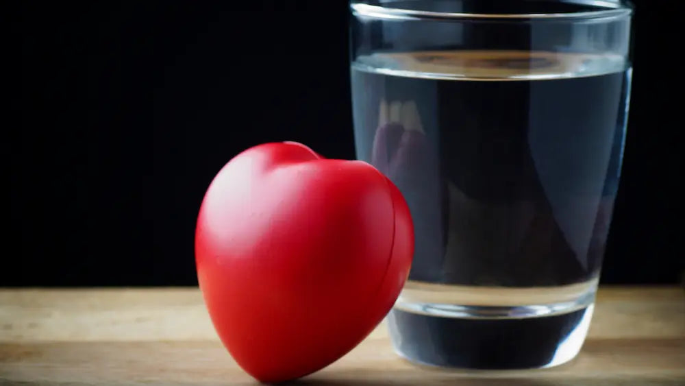 Liquid heart supplement formats with a multi-herb tincture, omega liquid and capsules on a clean wellness shelf