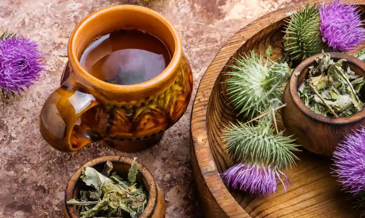 Milk thistle flowers, seeds and supplement capsules arranged for thoughtful product comparison