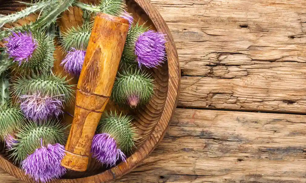 Milk-thistle supplement beside a medicine list with purple milk-thistle flowers and a calm pharmacy consultation cue.