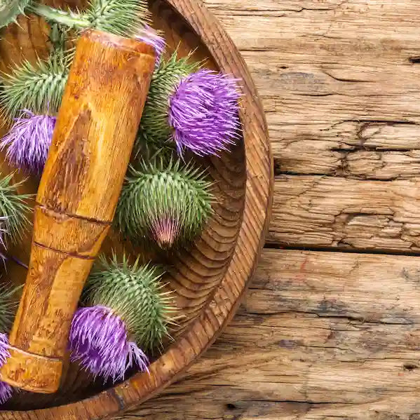 Milk-thistle supplement beside a medicine list with purple milk-thistle flowers and a calm pharmacy consultation cue.