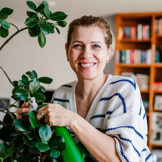 Woman comparing perimenopause supplement bottles in a home wellness cupboard