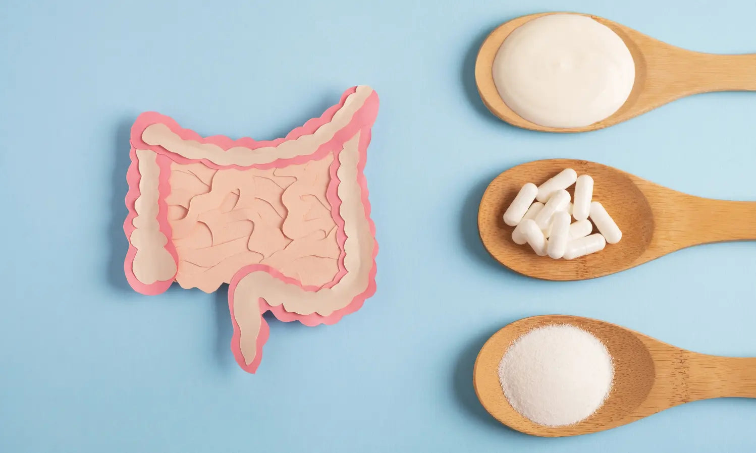 Probiotic supplements NZ label comparison showing CFU, strains, storage and daily use options