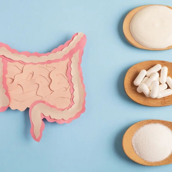 Probiotic supplements NZ label comparison showing CFU, strains, storage and daily use options