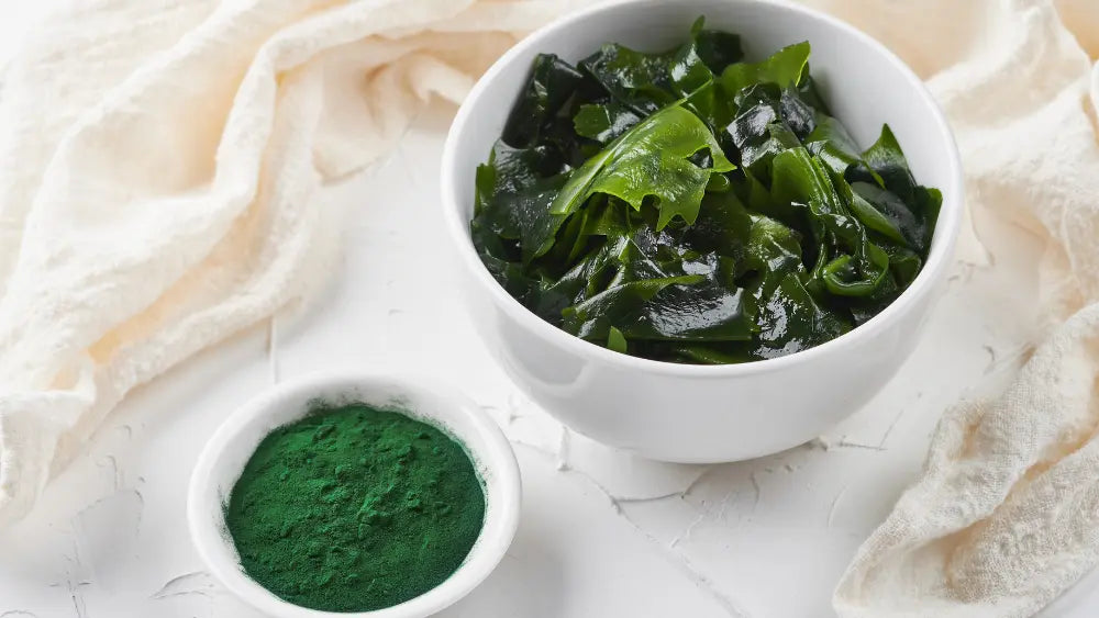 Deep green spirulina powder beside clear water and glassware, illustrating spirulina quality, cultivation conditions and testing considerations.