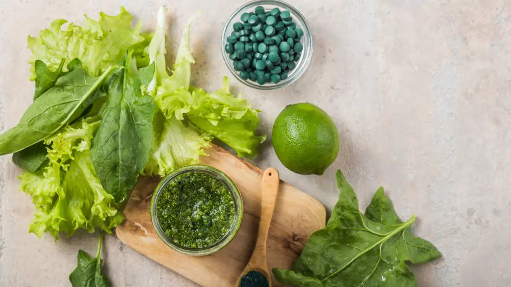 Two bowls of spirulina and chlorella green powders with a wooden scoop on a natural background.