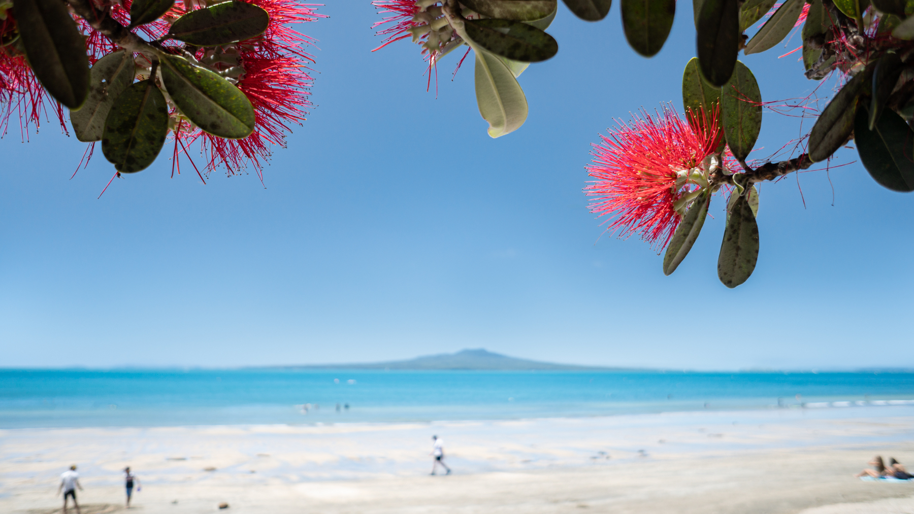 Top Tips To Survive The NZ Summer Months