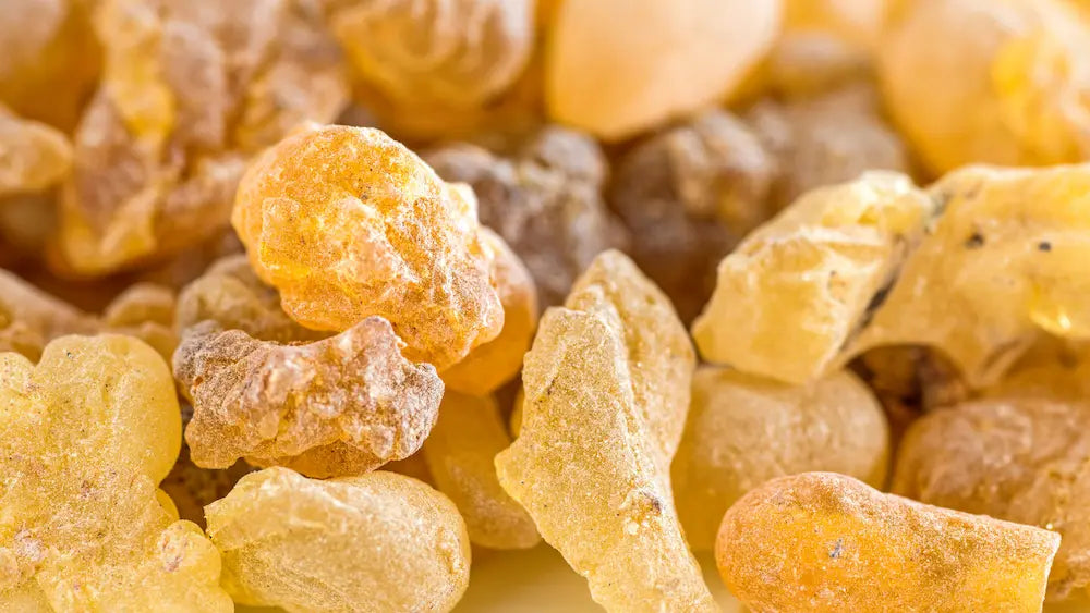 Turmeric and Boswellia supplements with turmeric root and Boswellia resin showing different joint formula styles