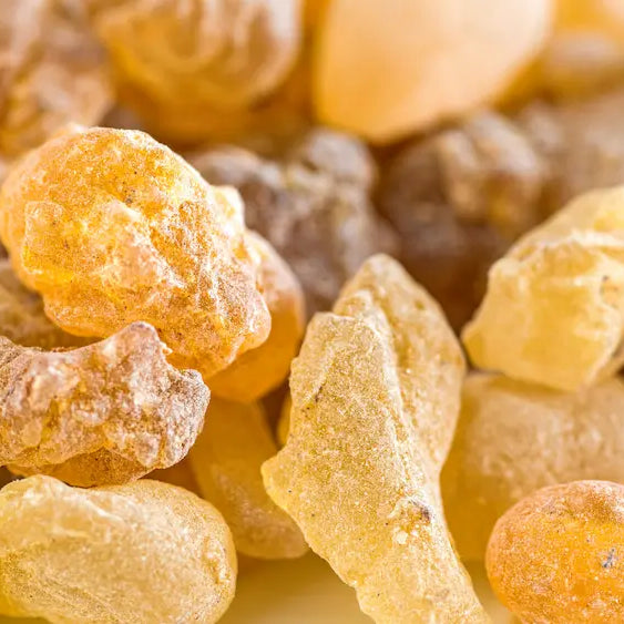Turmeric and Boswellia supplements with turmeric root and Boswellia resin showing different joint formula styles