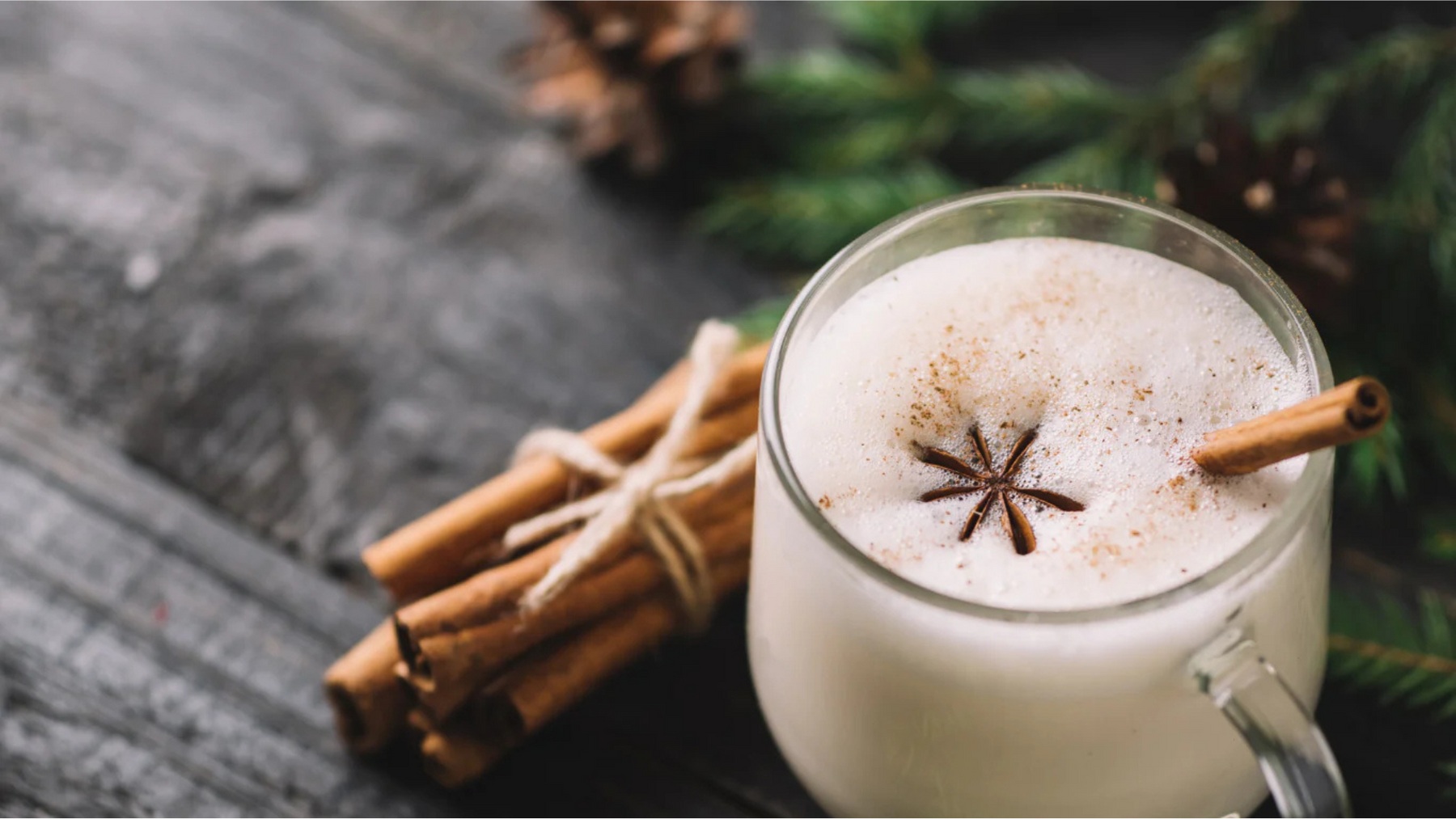 Chia Vegan Eggnog with Ceylon Cinnamon