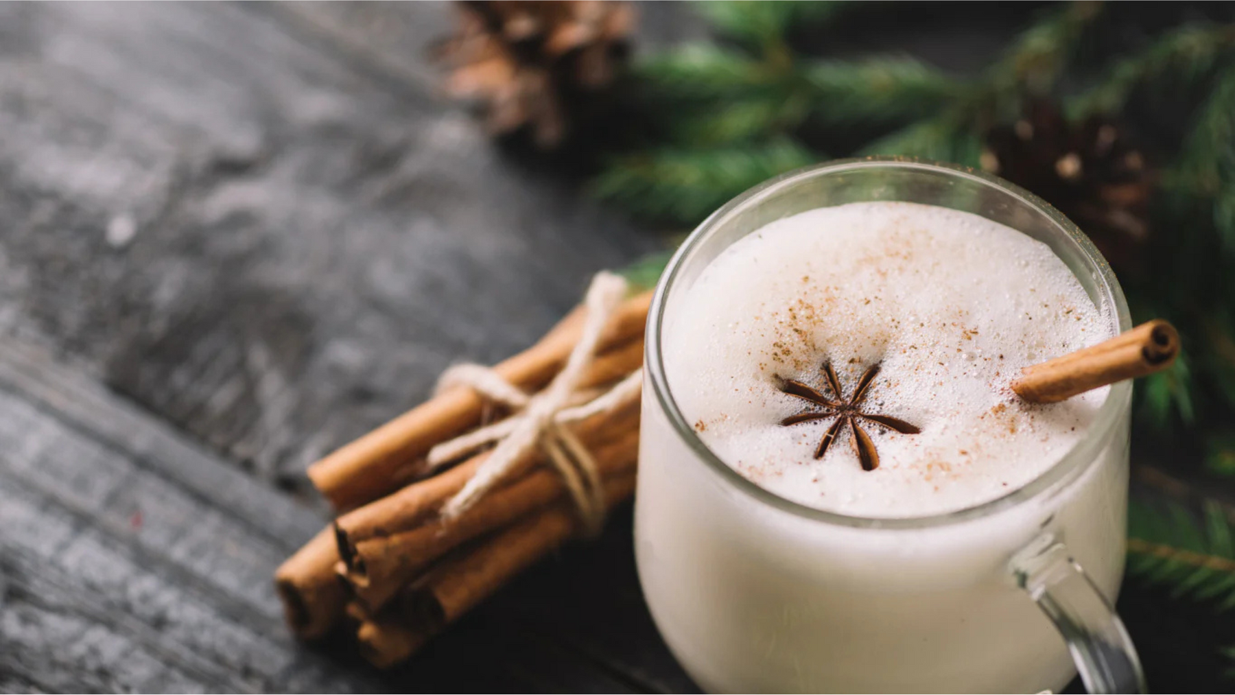 Chia Vegan Eggnog with Ceylon Cinnamon