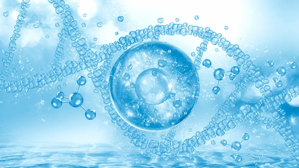 Liposomal glutathione absorption illustration showing a capsule, phospholipid carriers and delivery through digestion