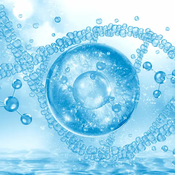 Liposomal glutathione absorption illustration showing a capsule, phospholipid carriers and delivery through digestion
