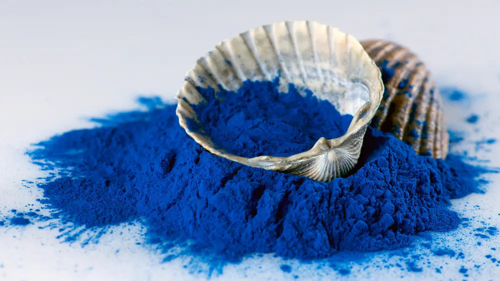 Two ceramic bowls containing green spirulina and vivid blue phycocyanin-rich powder, showing the natural blue pigment found in spirulina.