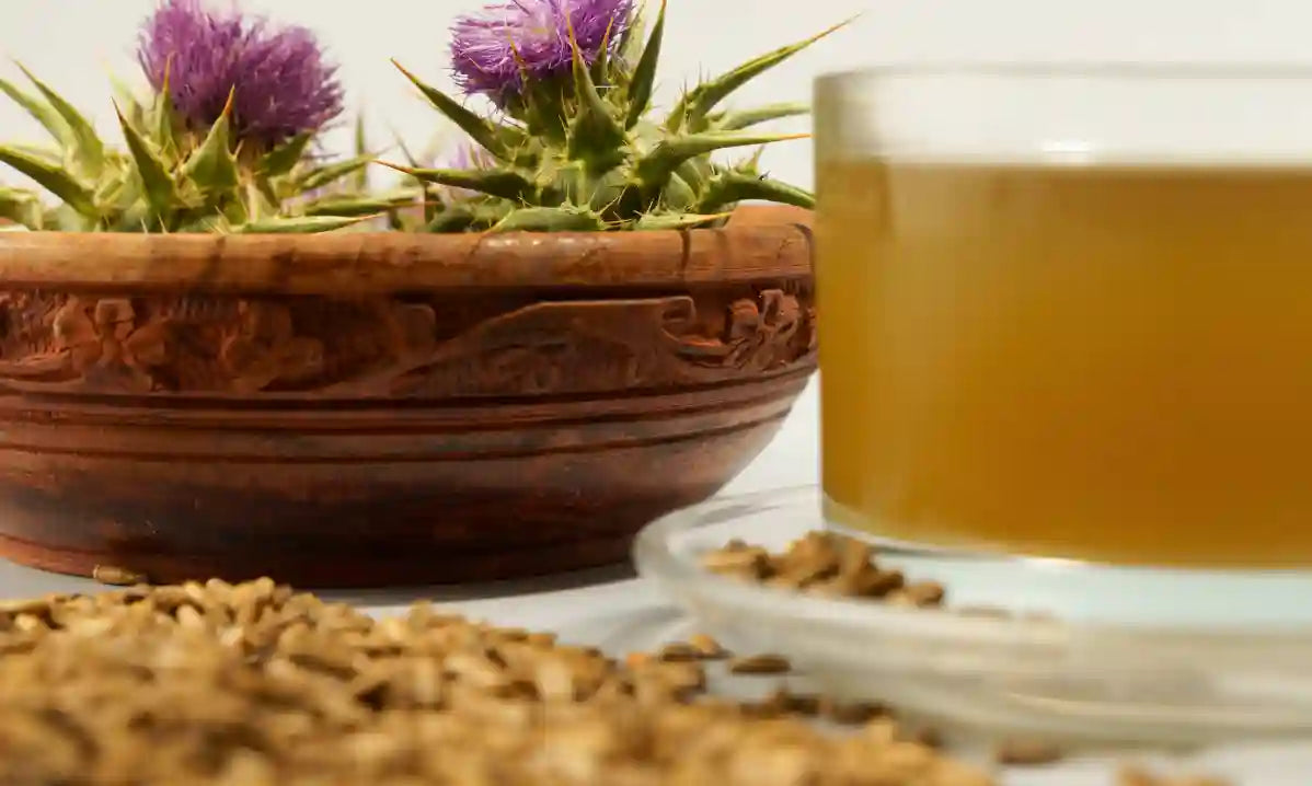 Milk thistle flowers beside a natural-health supplement bottle representing a milk thistle and NAC formula.