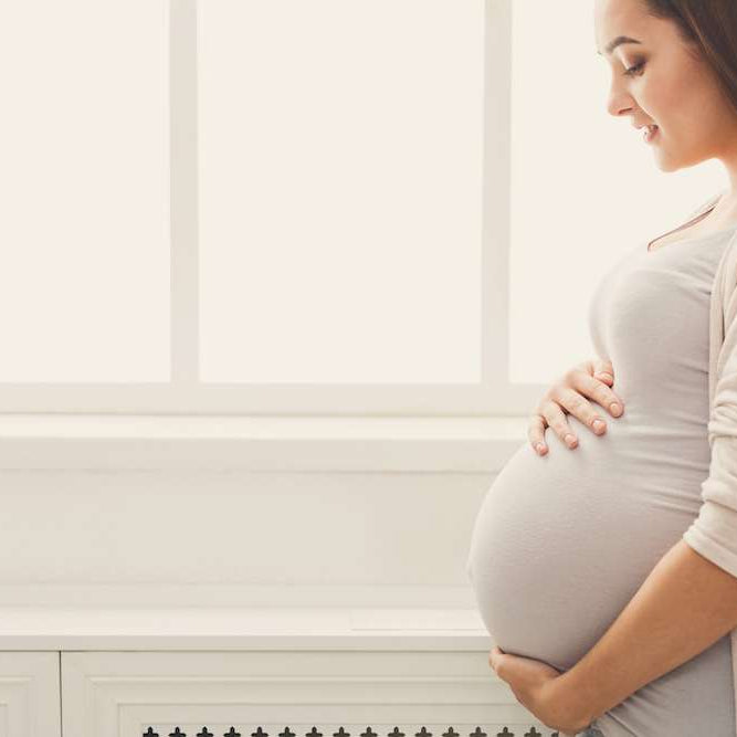 What is the role of protein during pregnancy?