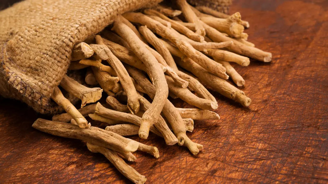 Ashwagandha & Adaptogens