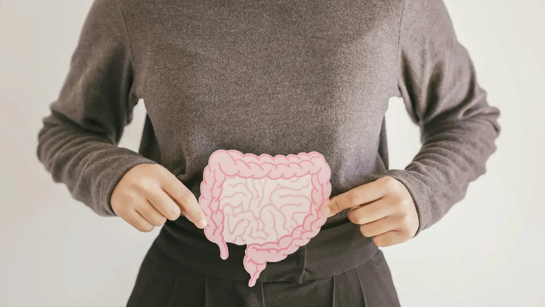 Bowel & Intestinal Cleanse