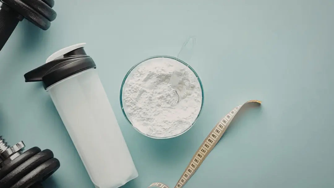 Clean Plant Protein