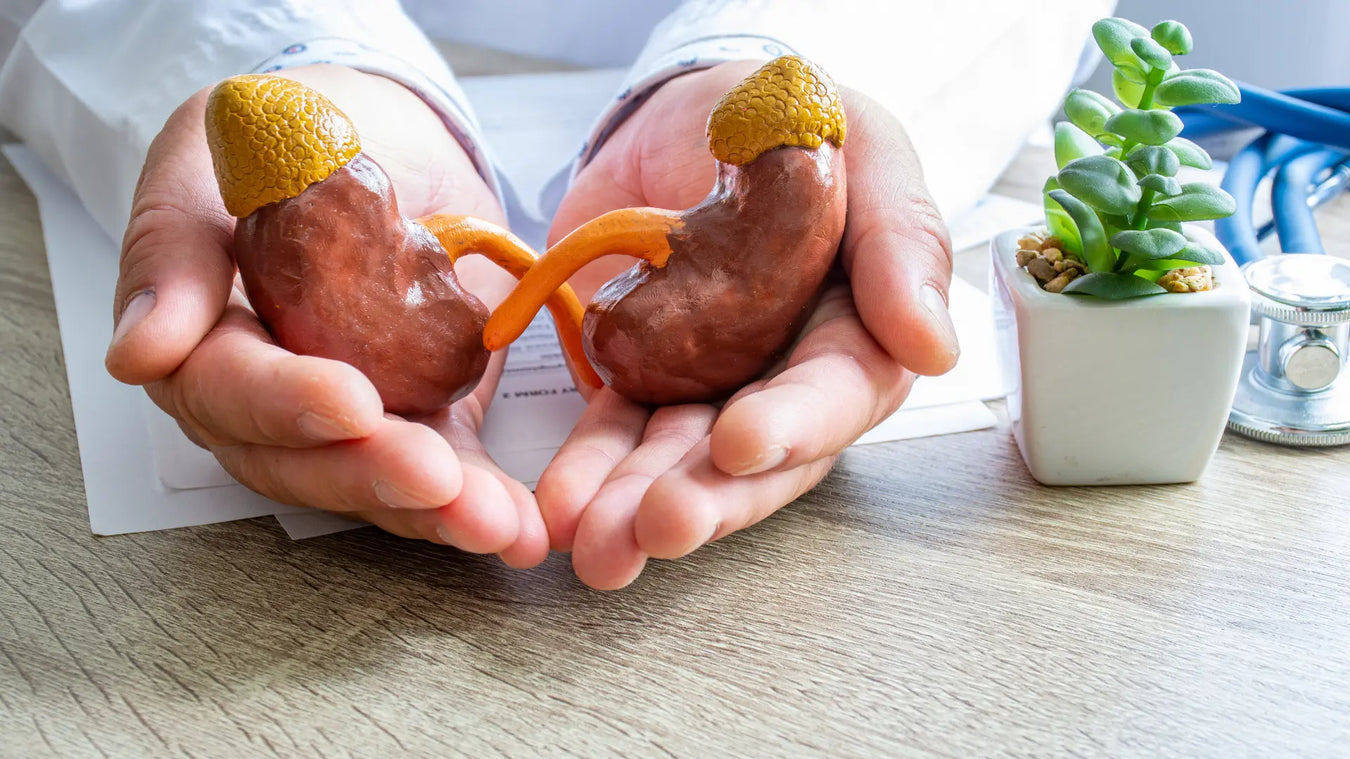 Kidney / Uric Acid Cleanse