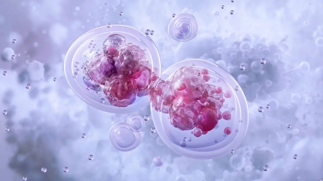 Mitochondrial & Cellular Energy