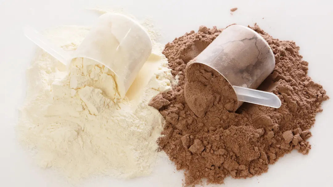 Plant Protein + Collagen