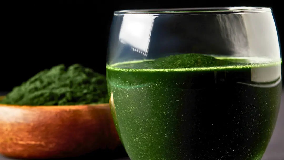 Spirulina Powder