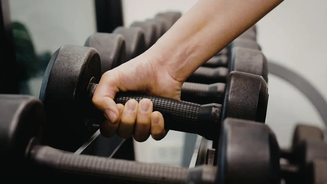 Vitamin K2 Bone Support