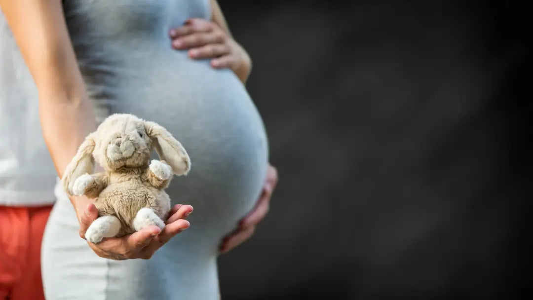 Women's & Pregnancy Probiotics