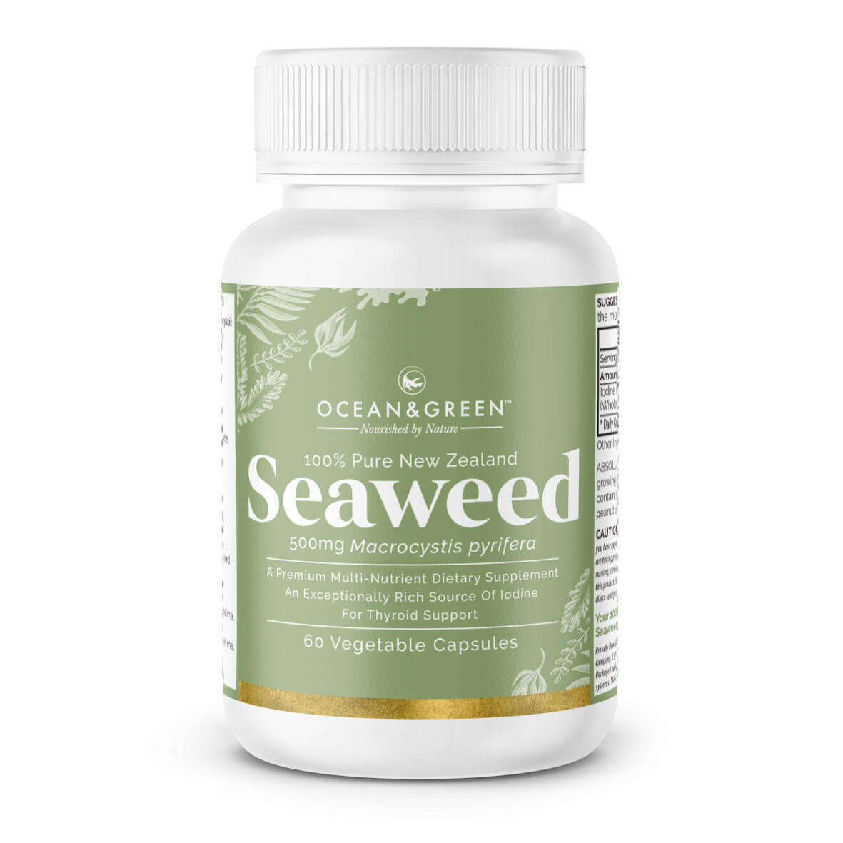 Ocean & Green New Zealand Seaweed, 100% Pure | healthy.co.nz