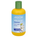Jason Kids Daily Clean Shampoo | healthy.co.nz