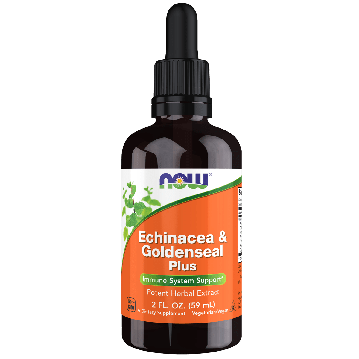 Now Echinacea & Goldenseal Plus Liquid | Immune System Support | Healthy