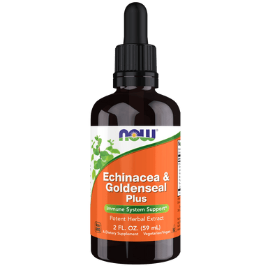 Now Echinacea & Goldenseal Plus Liquid | Immune System Support | Healthy