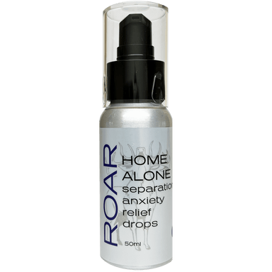 ROAR Home Alone separation anxiety relief | Healthy