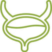 Prostate & Bladder