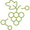 Resveratrol